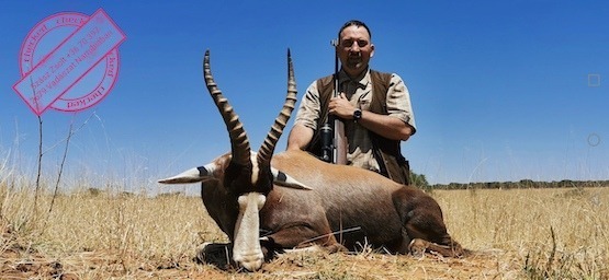 ÚJ 2023-as namíbiai vadászati csomagok