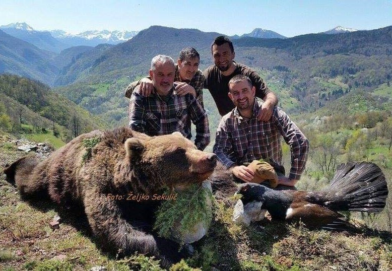 Medve és farkas vadászat a Sutjeska Nemzeti Parkban, Boszniában