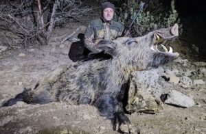 Vaddisznó vadászatok Törökországban
