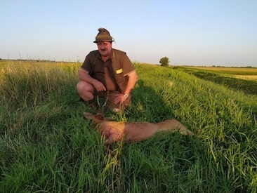 Akció: őzbak vadászat, a Mezőkovácsházi Széchenyi Zsigmond Vadásztársaságnál
