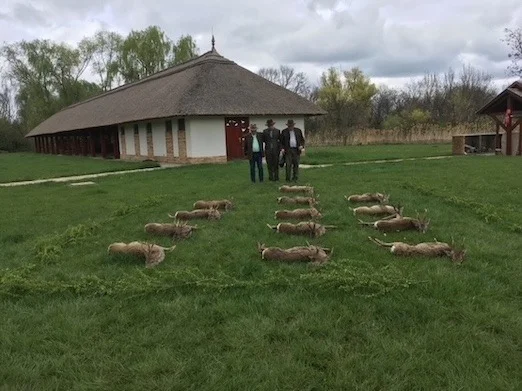 Big harvest: semi-wild mallard, pheasant and hare hunts in Csongrád county, Eastern Hungary