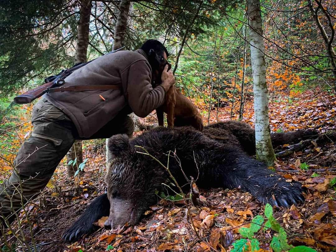 Új! Medvevadászat Horvátországban